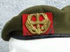 The Netherlands Beret Regiment Stoottroepen Prins Bernhard