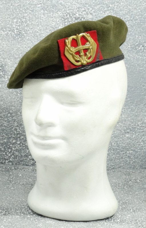 The Netherlands Beret Regiment Stoottroepen Prins Bernhard