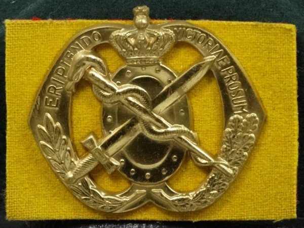 Baretembleem 55 Regiment Geneeskundige Troepen