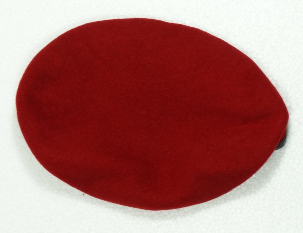 Germany beret Pioniere