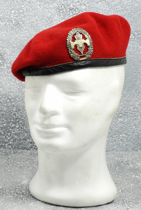 Germany beret Pioniere