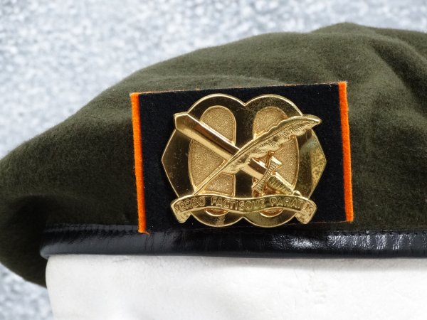 The Netherlands Beret StudentenWeerbaarheid