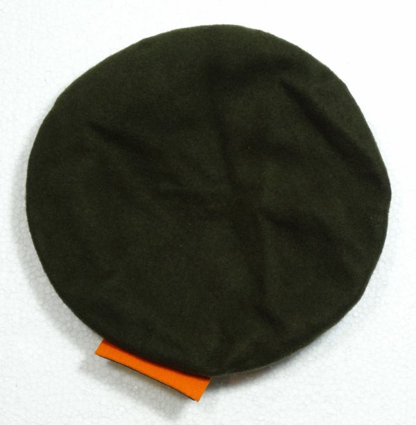 The Netherlands Beret StudentenWeerbaarheid