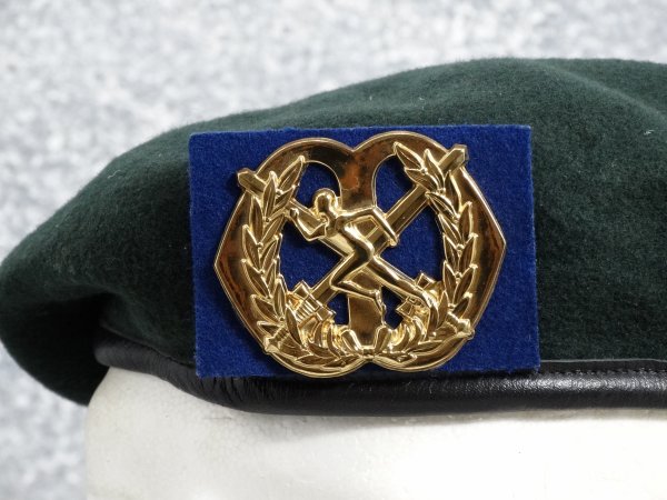 The Netherlands Beret Lichamelijke Opvoeding/Sportorganisatie